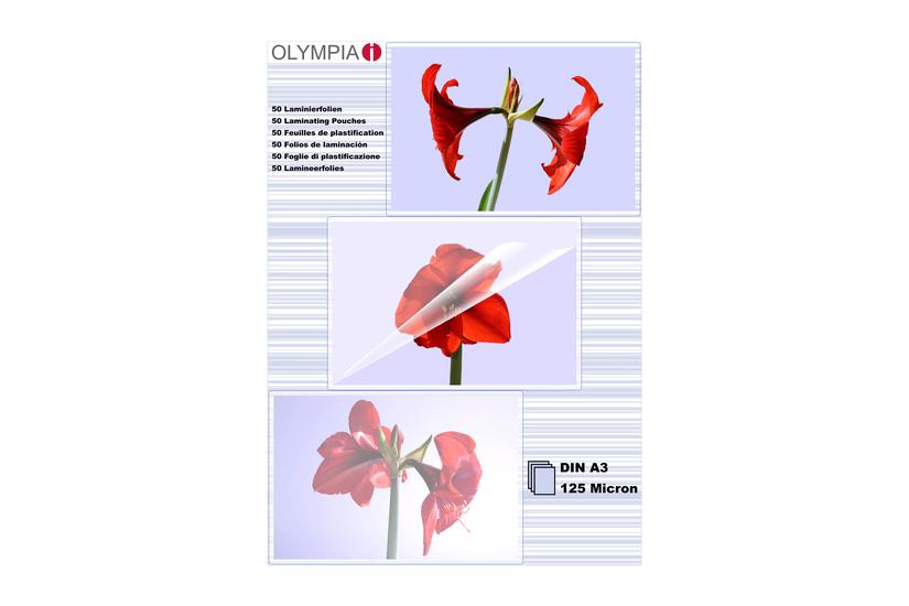 Olympia - Lamineret Bånd - 100 Stk. - A3