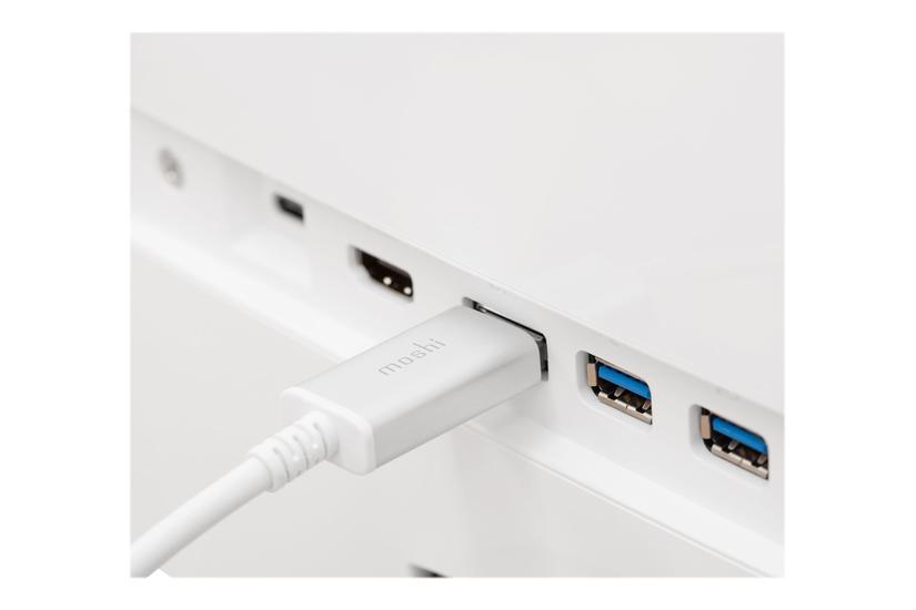 Moshi - Displayport Kabel - 24 Pin Usb-c Til Displayport - 1.5 M