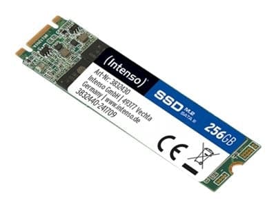 Intenso Ssd Top 256gb M.2 Sata-600 - Geekd.dk