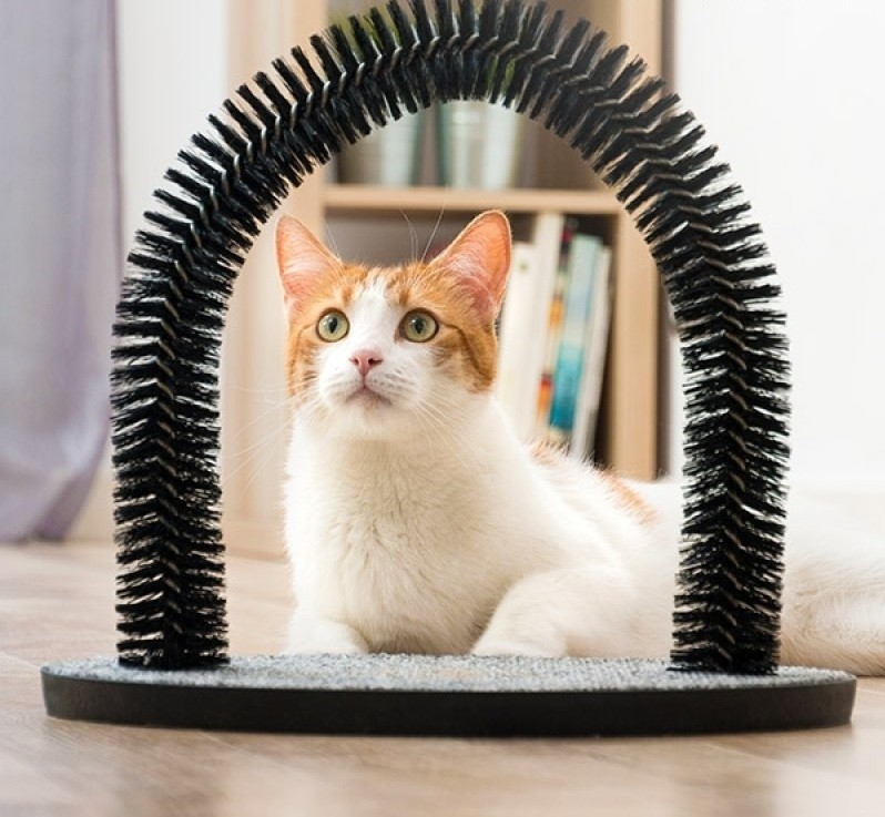 Kradsetræ  Og  Bue  Massager  Til  Katte