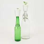 Gift Republic Botanical Bottles Bonsai - Plante