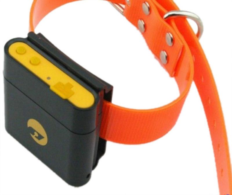 Gps Tracker/logger Til Hunde