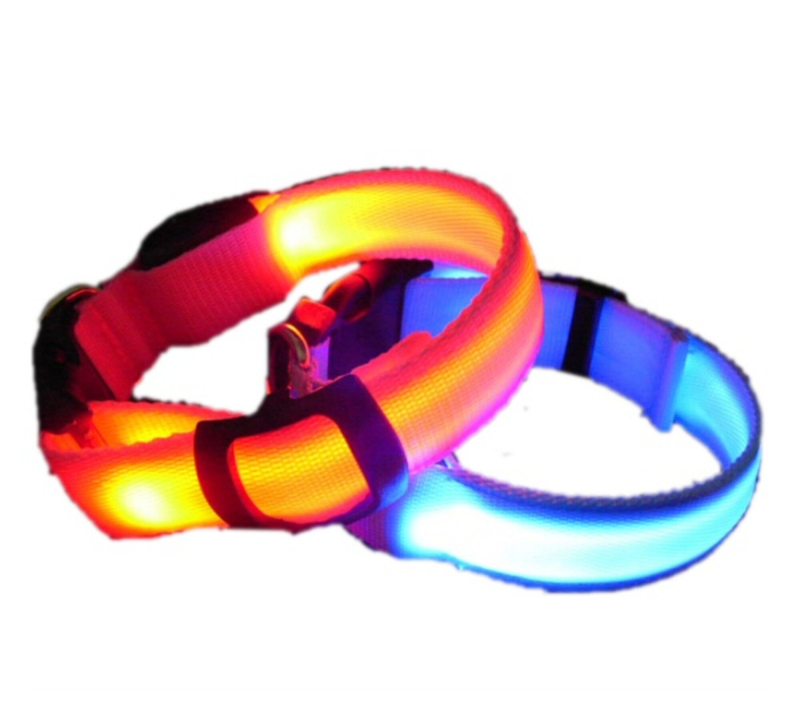 Led Hundehalsbånd, 5 Farver, Medium