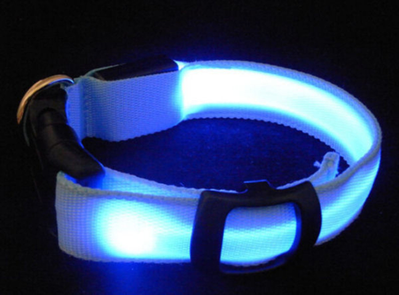 Led Hunde/kattehalsbånd