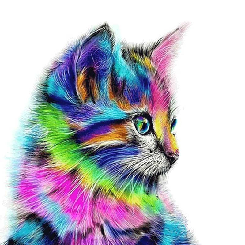 Katte Motiv 5d Diamond Paint  -  40 X 40 Cm