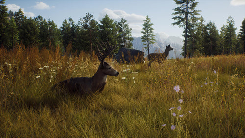 Way Of The Hunter  -  Xbox Series X Xbox Series X Spil - Geekd.dk